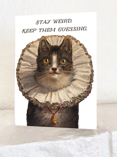Stay Weird Funny Kitty Card