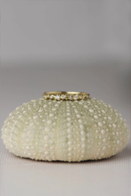 Load image into Gallery viewer, Solid Gold Isla Gold Ring