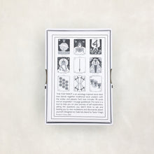 Load image into Gallery viewer, Fox Tarot: Pips Edition