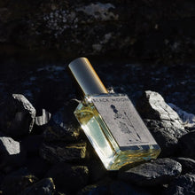 Load image into Gallery viewer, Potion Perfume Black Moon