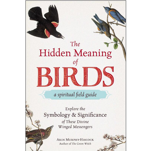 The Hidden Meaning of Birds: A Spiritual Field Guide Book